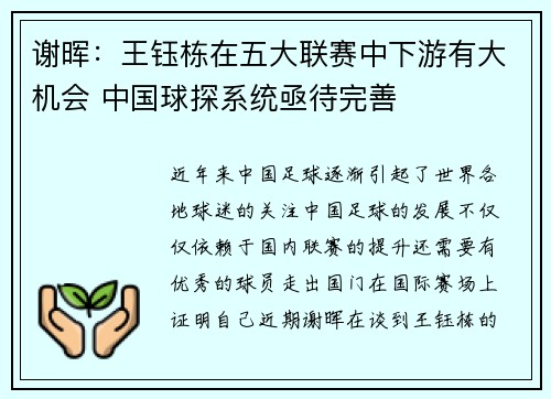 谢晖：王钰栋在五大联赛中下游有大机会 中国球探系统亟待完善